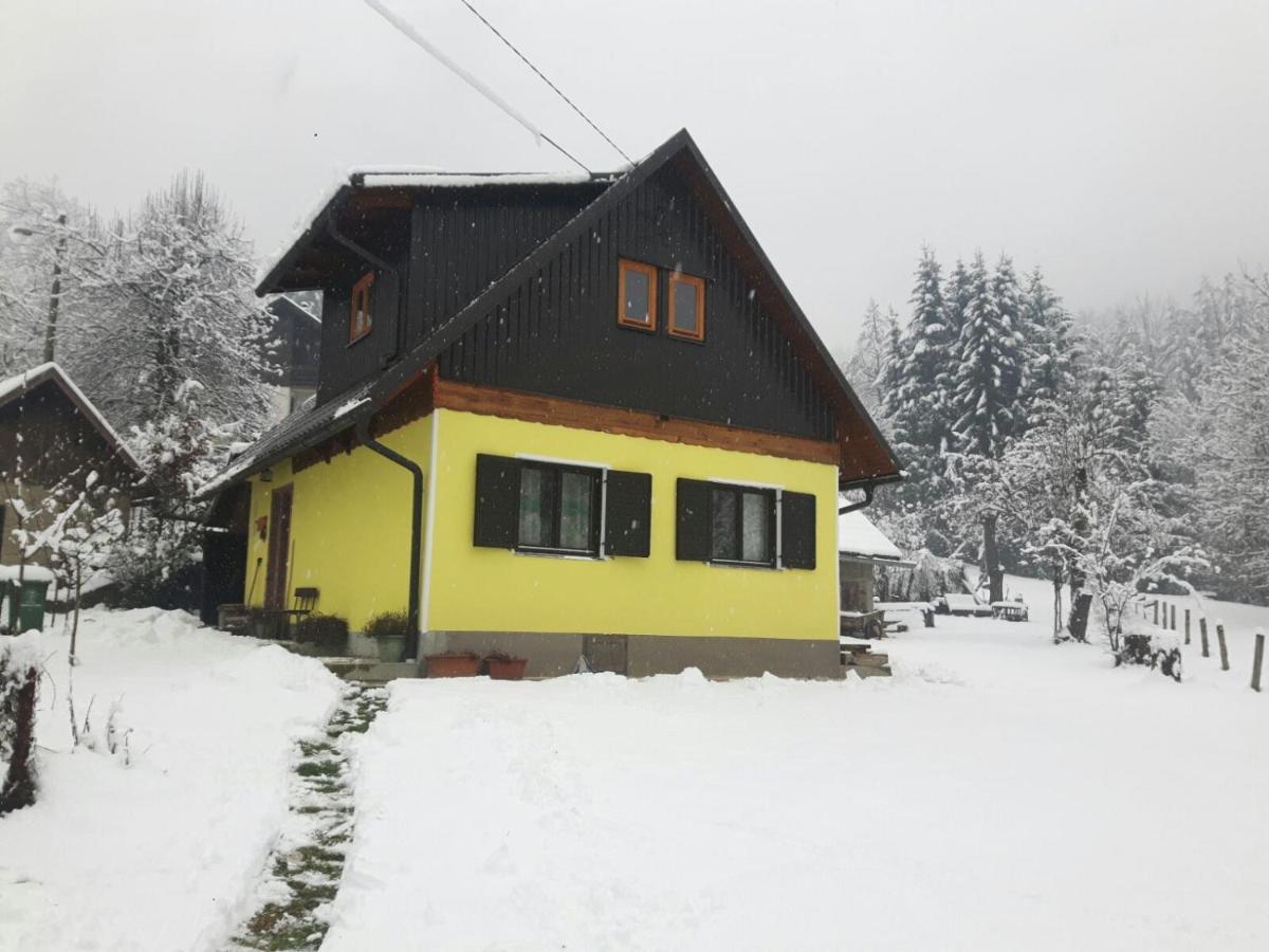 Kuca Za Odmor Forest Dream U Blizini Rijeke Kupe Plesce Exteriör bild