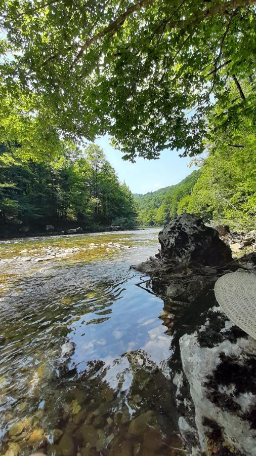 Kuca Za Odmor Forest Dream U Blizini Rijeke Kupe Plesce Exteriör bild