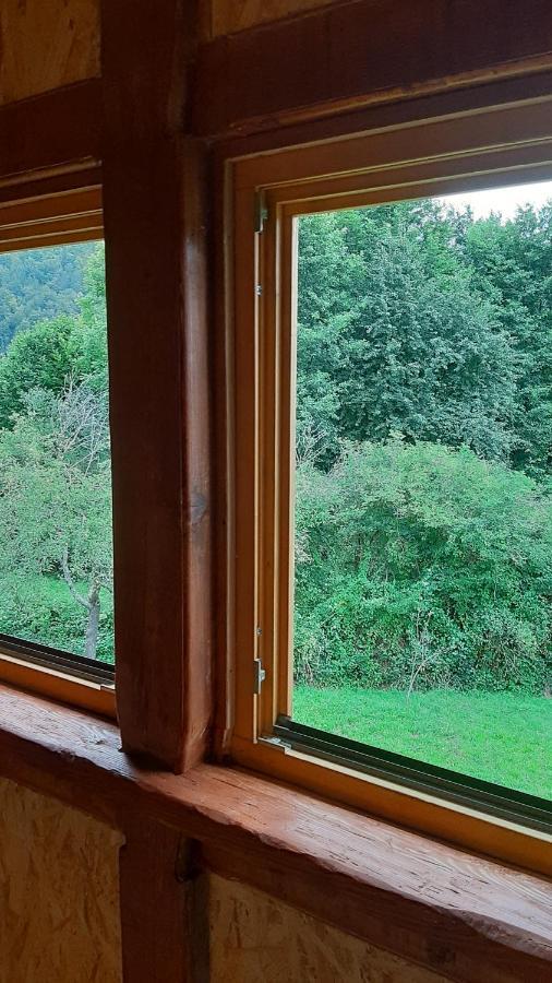 Kuca Za Odmor Forest Dream U Blizini Rijeke Kupe Plesce Exteriör bild