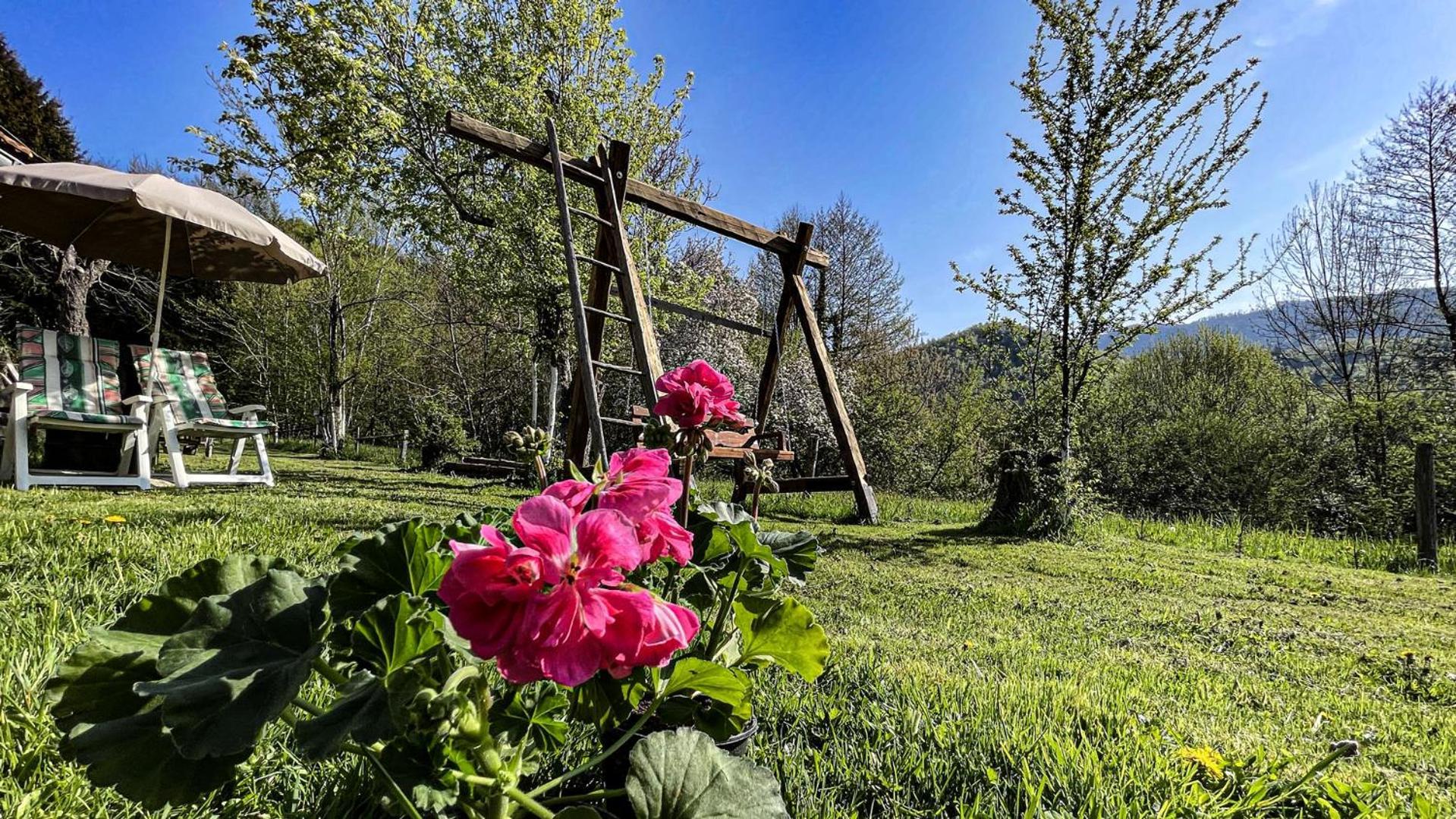 Kuca Za Odmor Forest Dream U Blizini Rijeke Kupe Plesce Exteriör bild