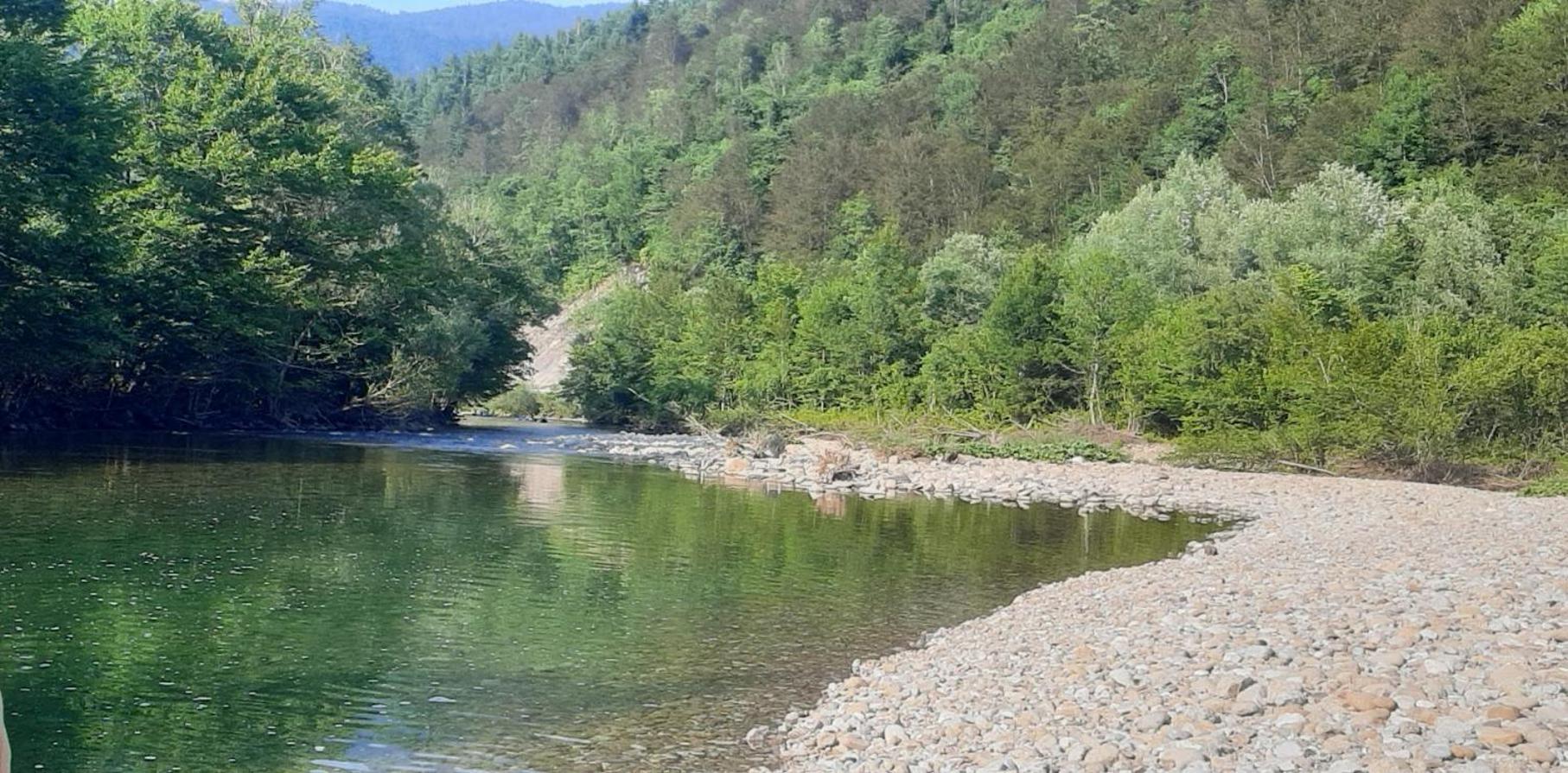 Kuca Za Odmor Forest Dream U Blizini Rijeke Kupe Plesce Exteriör bild